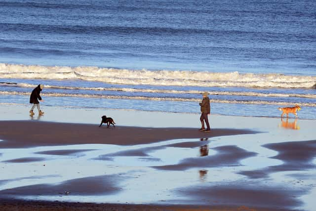 Out and about at Sandhaven Beach. 