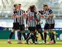 There has been a big shift in Newcastle United's Premier League relegation odds. (Photo by David Rogers/Getty Images)
