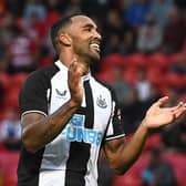 Callum Wilson celebrates his goal.
