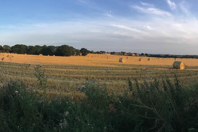 The land in question is a wheat field. Picture by Jane Mills.