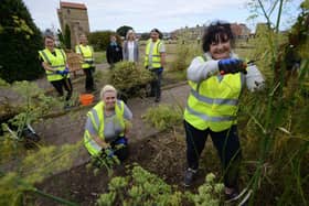 UK Docks staff, watched by museum staff, cut Arbeia's overgrown herb gardens down to size.