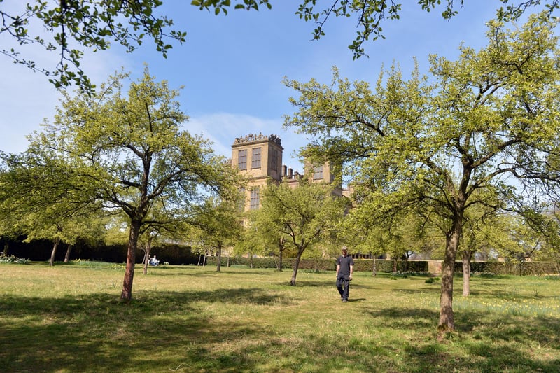 The ornamental orchard.