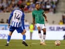 Jamaal Lascelles in action for Newcastle United.  