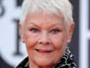 Dame Judi Dench 