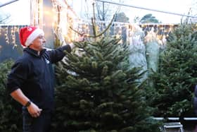Christmas trees will soon be available across the North East.