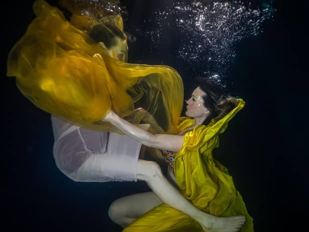 Underwater photography by Sarah Dobbs