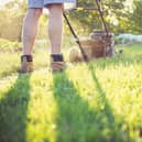 Lawn woes - New research from Pelsis Doff reveals the North East's biggest lawn care struggles