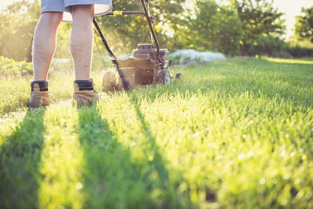 Lawn woes - New research from Pelsis Doff reveals the North East's biggest lawn care struggles