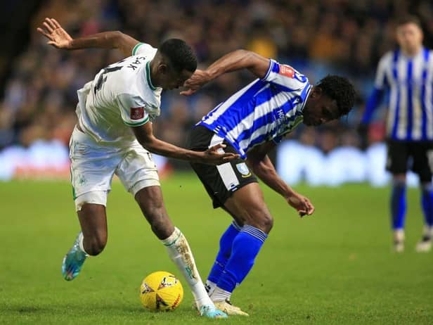 Newcastle United striker Alexander Isak.
