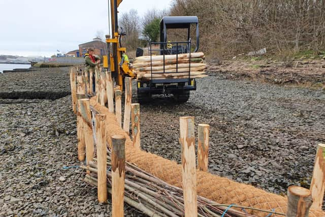 Habitat creation work on Hebburn riverside.