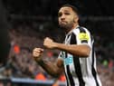 Callum Wilson of Newcastle United celebrates after scoring the team's first goal during the Premier League match between Newcastle United and West Ham United at St. James Park on February 04, 2023 in Newcastle upon Tyne, England (Photo by George Wood/Getty Images)