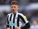 Newcastle player Jay Turner-Cooke in action during the friendly match between Newcastle United and Rayo Vallecano  at St James' Park on December 17, 2022 in Newcastle upon Tyne, England. (Photo by Stu Forster/Getty Images)