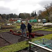 Where can I get an allotment across South Tyneside? (Photo by ADRIAN DENNIS/AFP via Getty Images)