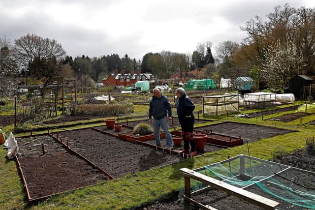 Where can I get an allotment across South Tyneside? (Photo by ADRIAN DENNIS/AFP via Getty Images)