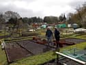 Where can I get an allotment across South Tyneside? (Photo by ADRIAN DENNIS/AFP via Getty Images)