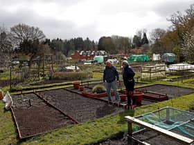 Where can I get an allotment across South Tyneside? (Photo by ADRIAN DENNIS/AFP via Getty Images)