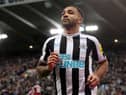 Callum Wilson has been in fine form for Newcastle United. 