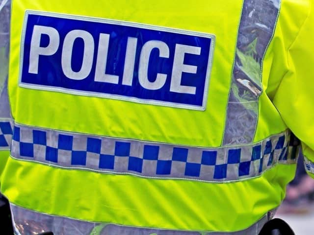 Police seize a dog who attacked a child in Birmingham 