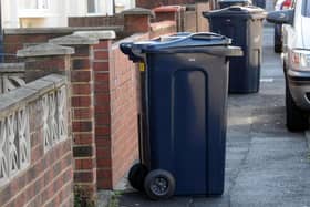 File picture of blue bins