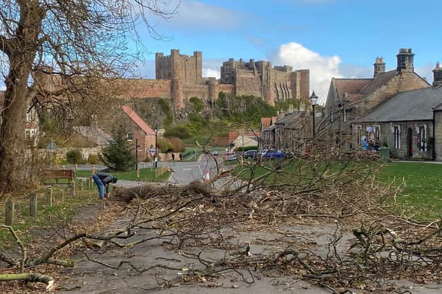 The aftermath of Storm Arwen in Bamburgh.