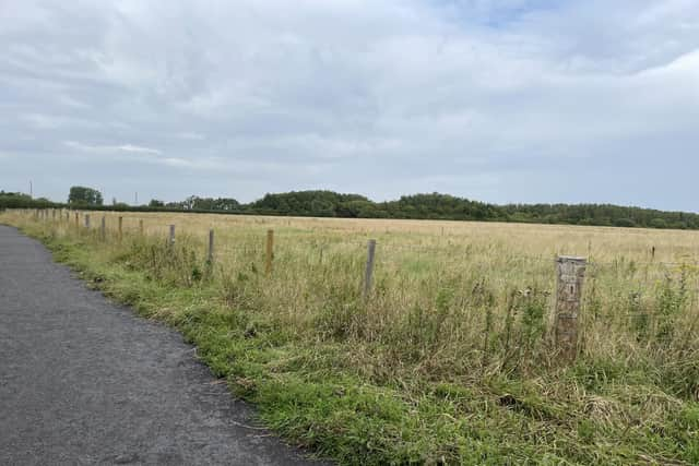 Land the stables owner wishes to rent.