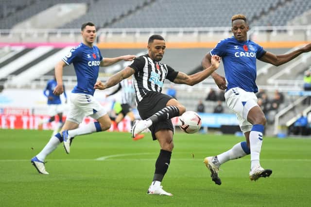 Newcastle United did the double over Everton last season (Photo by Michael Regan/Getty Images)