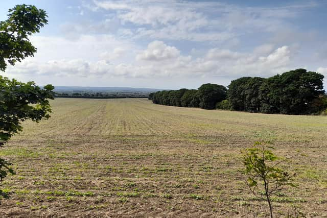 The land at the centre of the controversy is owned by the Church of England, who want houses built there.