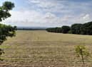 The land at the centre of the controversy is owned by the Church of England, who want houses built there.