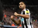 NEWCASTLE UPON TYNE, ENGLAND - FEBRUARY 04: Callum Wilson of Newcastle United celebrates after scoring the team's first goal during the Premier League match between Newcastle United and West Ham United at St. James Park on February 04, 2023 in Newcastle upon Tyne, England. (Photo by George Wood/Getty Images)