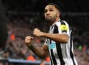NEWCASTLE UPON TYNE, ENGLAND - FEBRUARY 04: Callum Wilson of Newcastle United celebrates after scoring the team's first goal during the Premier League match between Newcastle United and West Ham United at St. James Park on February 04, 2023 in Newcastle upon Tyne, England. (Photo by George Wood/Getty Images)