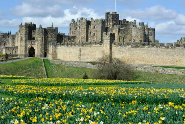 Alnwick Castle. Picture Jane Coltman