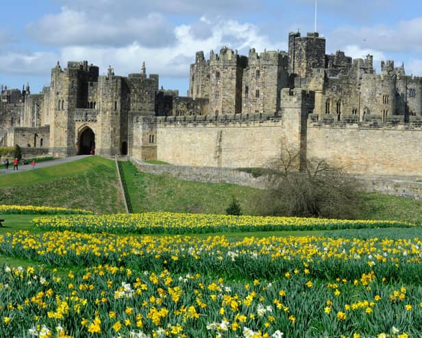 Alnwick Castle. Picture Jane Coltman