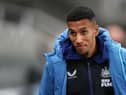 Isaac Hayden of Newcastle United  (Photo by Ian MacNicol/Getty Images)