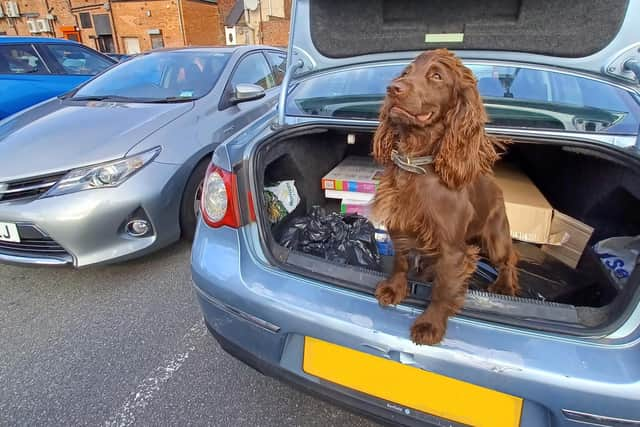 A Northumbria Police specialist sniffer dog