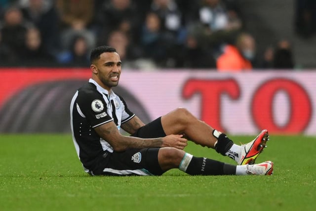 Wilson is still Newcastle's top scorer this season despite being yet to play in 2022 due to an injury. He is priced at 8/1 with SkyBet to go to the World Cup this winter, the same odds as Brentford's former Newcastle striker Ivan Toney.