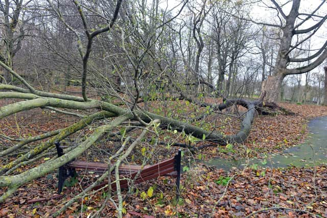 Storm Arwen aftermath at St Paul's Church ground, Jarrow.