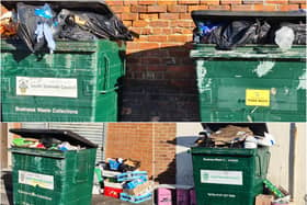 An additional waste collection service was laid on – and Ocean Road eatery bosses were urged to remedy any future stockpile by paying for extra clean-ups.