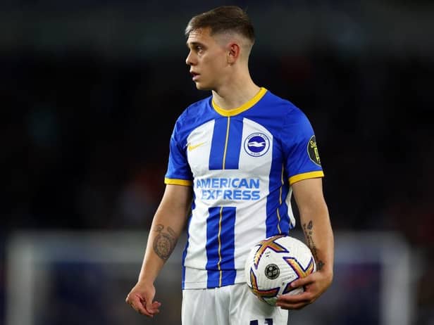 Brighton and Hove Albion's Leandro Trossard.