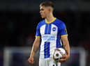 Brighton and Hove Albion's Leandro Trossard.