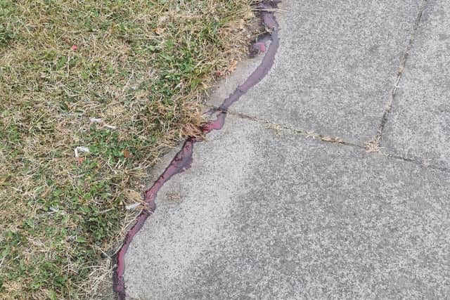 A trail of blood found at the scene of the incident the next morning by Stephen's son, Michael