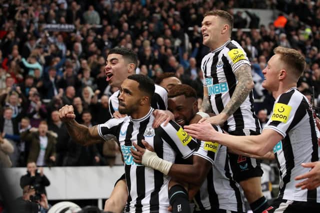 Callum Wilson celebrates his first Newcastle United goal since late October.