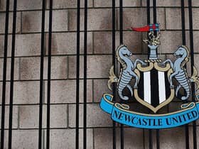 St. James's Park Newcastle  (Photo by Dean Mouhtaropoulos/Getty Images)