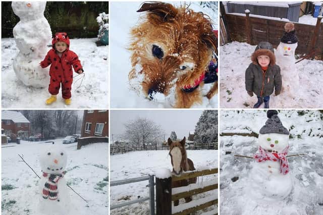 Wonderful snow photos from Sheffield people.