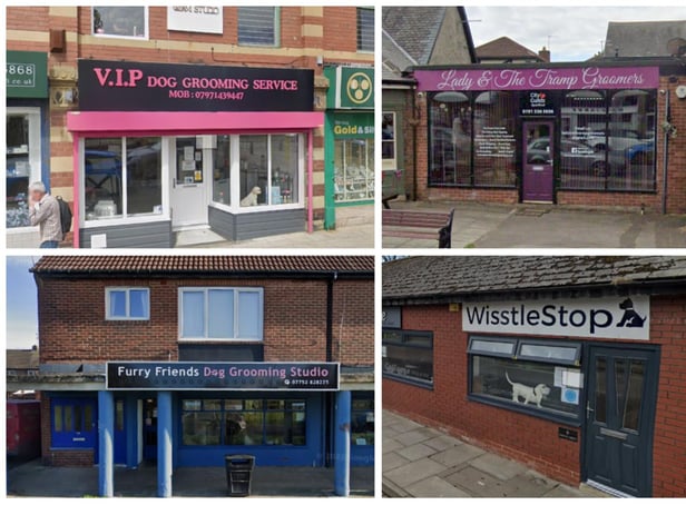 These are some of the top-rated dog groomers across South Tyneside according to Google reviews.