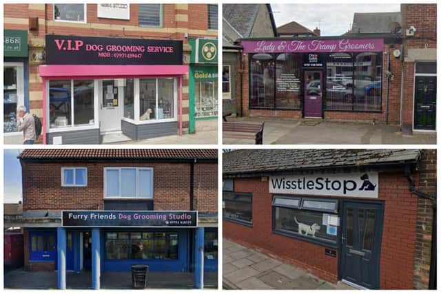 These are some of the top-rated dog groomers across South Tyneside according to Google reviews.