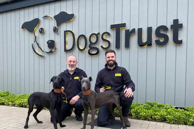 The team at Dogs Trust Darlington are currently caring for 114 dogs.