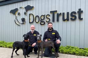 The team at Dogs Trust Darlington are currently caring for 114 dogs.