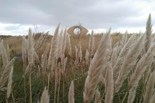 Pampas grass lines South Shields seafront