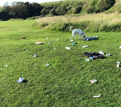 National Trust bosses have reported a rise in the amount of litter as lockdown is eased.