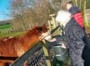 Bedewell Grange resident, Ruby.